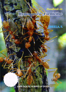 Hymenoptera: Formicidae