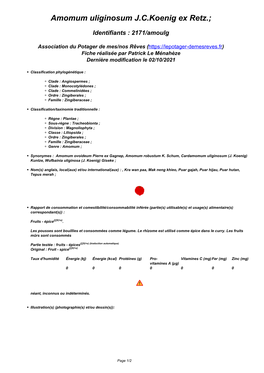 Amomum Uliginosum J.C.Koenig Ex Retz.;