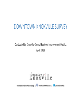 Downtown Knoxville Survey