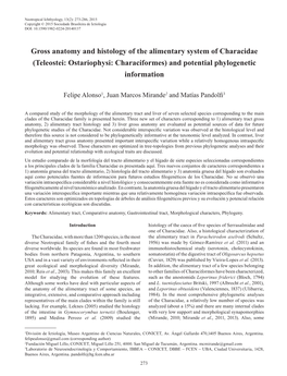 Gross Anatomy and Histology of the Alimentary System of Characidae (Teleostei: Ostariophysi: Characiformes) and Potential Phylogenetic Information