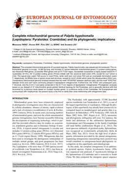 Complete Mitochondrial Genome of Palpita Hypohomalia (Lepidoptera: Pyraloidea: Crambidae) and Its Phylogenetic Implications