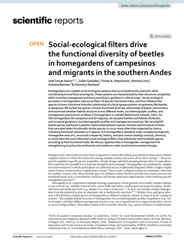 Social-Ecological Filters Drive the Functional Diversity of Beetles in Homegardens of Campesinos and Migrants in the Southern An