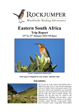 South Africa Trip Report 22Nd to 31St January 2014 (10 Days)