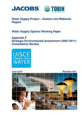 Strategic Environmental Assessment (2007-2011) Consultation Review