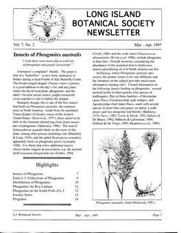 Phragmites Australis Covell, 1984) and the Scale Insect Chaetococcus Phragmitidis (Kiviat Et Al