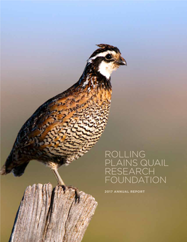 Rolling Plains Quail Research Foundation