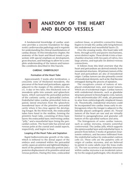 Anatomy of the Heart and Blood Vessels Is Pre- Seven Distinct Septa