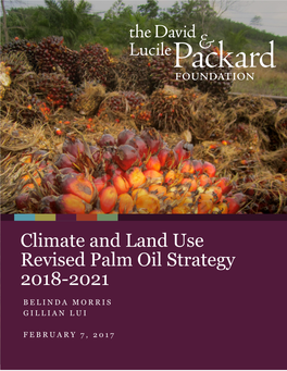 Palm Oil Strategy 2018-2021