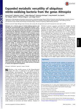 Expanded Metabolic Versatility of Ubiquitous Nitrite-Oxidizing Bacteria from the Genus Nitrospira