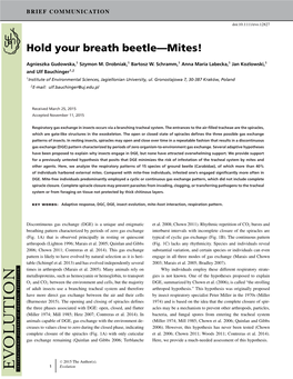 Hold Your Breath Beetle—Mites!