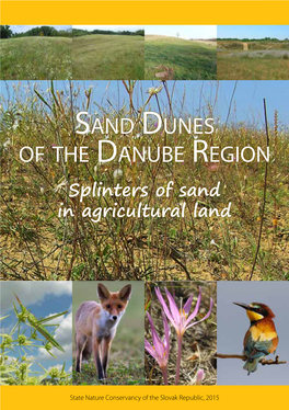 Sand Dunes of the Danube Region Splinters of Sand in Agricultural Land