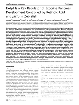 Exdpf Is a Key Regulator of Exocrine Pancreas Development Controlled by Retinoic Acid and Ptf1a in Zebrafish