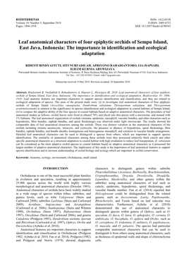 Leaf Anatomical Characters of Four Epiphytic Orchids of Sempu Island, East Java, Indonesia: the Importance in Identification and Ecological Adaptation