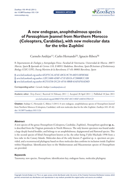 A New Endogean, Anophthalmous Species of Parazuphium Jeannel from Northern Morocco (Coleoptera, Carabidae), with New Molecular Data for the Tribe Zuphiini