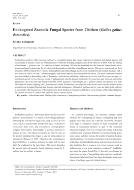 Endangered Zoonotic Fungal Species from Chicken (Gallus Gallus Domestics)