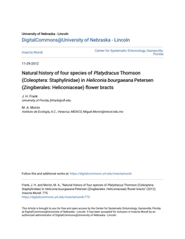 Natural History of Four Species of <I>Platydracus</I> Thomson