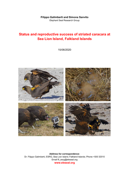 Status and Reproductive Success of Striated Caracara at Sea Lion Island, Falkland Islands