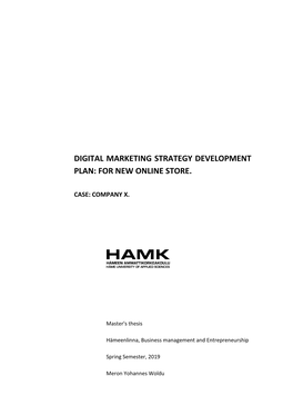 Digital Marketing Strategy Development Plan: for New Online Store