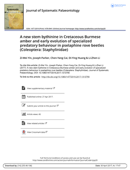 A New Stem Bythinine in Cretaceous Burmese Amber and Early Evolution of Specialized Predatory Behaviour in Pselaphine Rove Beetles (Coleoptera: Staphylinidae)