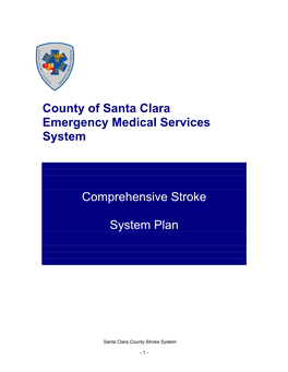 Comprehensive Stroke System Plan