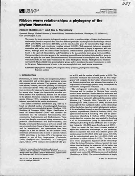 Öj~/ Ribbon Worm Relationships: a Phyiogeny of the Phylum Nemertea