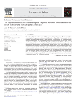 The Segmentation Cascade in the Centipede Strigamia Maritima: Involvement of the Notch Pathway and Pair-Rule Gene Homologues