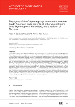 Phylogeny of the Corynura Group, an Endemic Southern South American Clade Sister to All Other Augochlorini Bees (Hymenoptera: Halictidae), and a Revision of Corynura