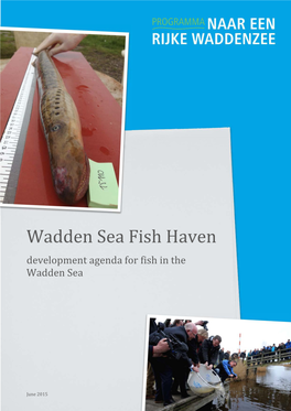 Wadden Sea Fish Haven Development Agenda for Fish in the Wadden Sea
