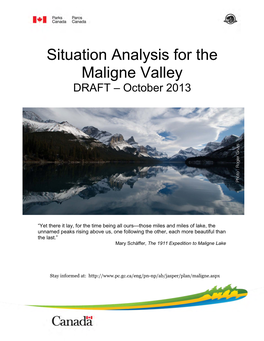 Situation Analysis for the Maligne Valley DRAFT – October 2013