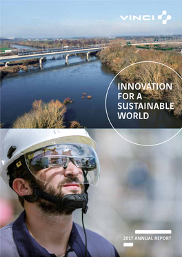Innovation for a Sustainable World 2017 Annual Report Annual 2017