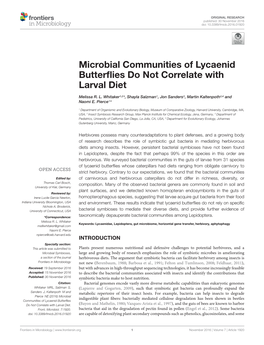 Microbial Communities of Lycaenid Butterflies Do Not