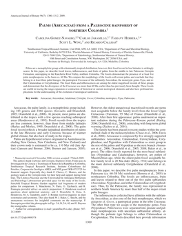 Palms (Arecaceae) with Comparisons of Supertree and Palaeobotany and Palynology 85 : 153 – 182