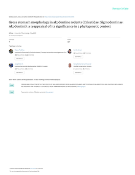 Gross Stomach Morphology in Akodontine Rodents (Cricetidae: Sigmodontinae: Akodontini): a Reappraisal of Its Signiﬁcance in a Phylogenetic Context