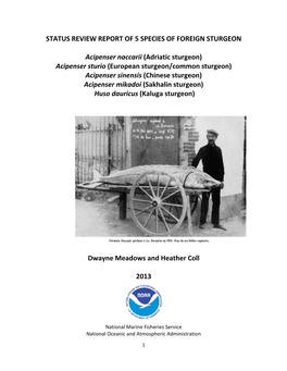 Status Review Report of Five Foreign Sturgeon (2013)