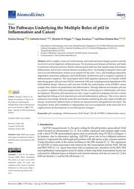 The Pathways Underlying the Multiple Roles of P62 in Inflammation And