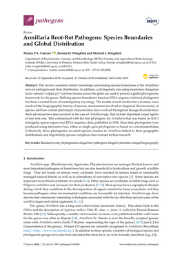 Armillaria Root-Rot Pathogens: Species Boundaries and Global Distribution