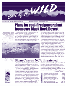 Plans for Coal-Fired Power Plant Loom Over Black Rock Desert