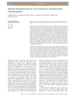 Aptychi Microstructure in Late Cretaceous Ancyloceratina (Ammonoidea)