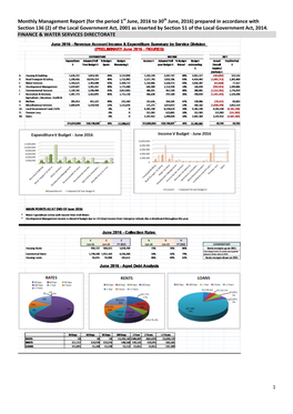 1 Monthly Management Report