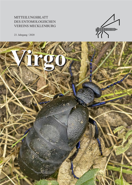 Virgovirgo Impressum