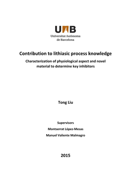 Contribution to Lithiasic Process Knowledge Characterization of Physiological Aspect and Novel Material to Determine Key Inhibitors