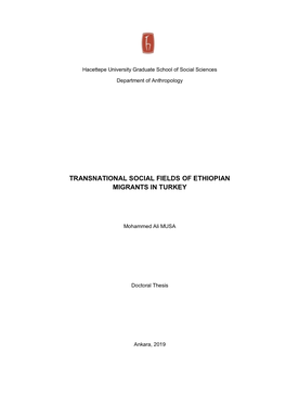 Transnational Social Fields of Ethiopian Migrants in Turkey