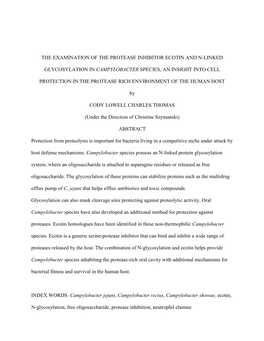 The Examination of the Protease Inhibitor Ecotin and N-Linked