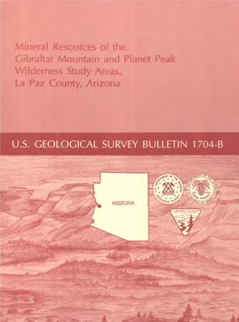 Mineral Resources of the Gibraltar Mountain and Planet Peak Wilderness Study Areas,, La Paz County, Arizona