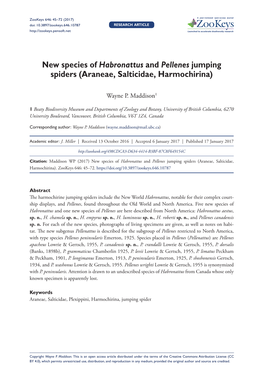 New Species of Habronattus and Pellenes Jumping Spiders (Araneae, Salticidae, Harmochirina)