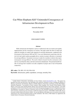 Can White Elephants Kill? Unintended Consequences of Infrastructure Development in Peru