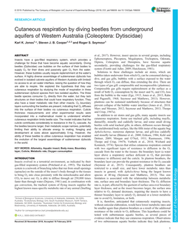 Cutaneous Respiration by Diving Beetles from Underground Aquifers of Western Australia (Coleoptera: Dytiscidae) Karl K