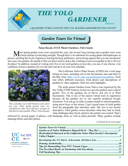 The Yolo Gardener – Fall, 2020