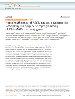 Haploinsufficiency of RREB1 Causes a Noonan-Like Rasopathy Via