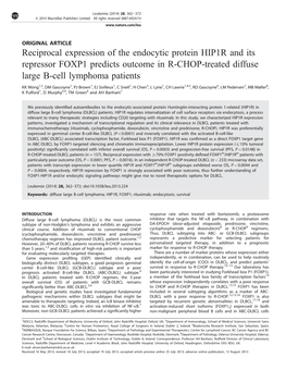 Reciprocal Expression of the Endocytic Protein HIP1R and Its Repressor FOXP1 Predicts Outcome in R-CHOP-Treated Diffuse Large B-Cell Lymphoma Patients